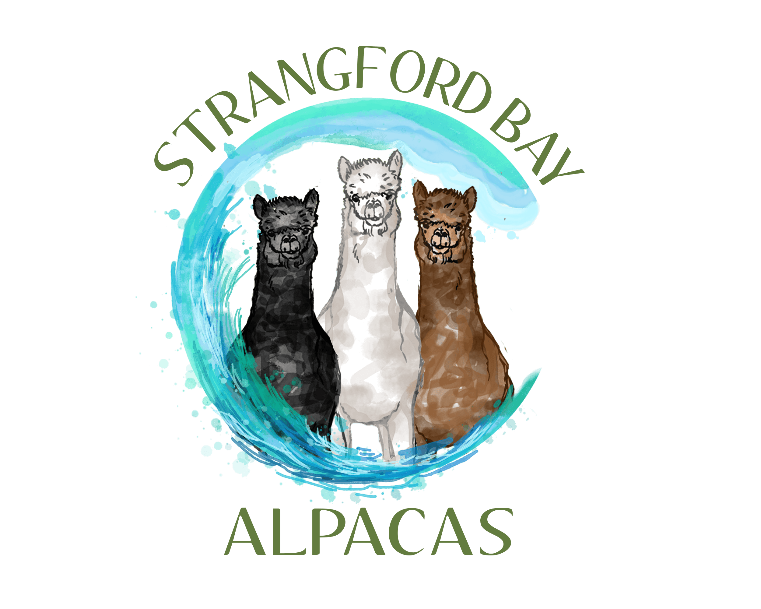 Strangford Bay Alpacas Logo | Alpaca walking, Co.Down, Northern Ireland