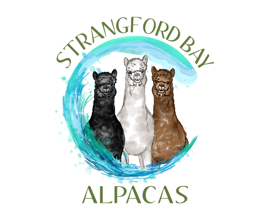 Strangford Bay Alpacas Logo